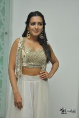 Catherine Tresa At Goutham Nanda Movie Success Meet